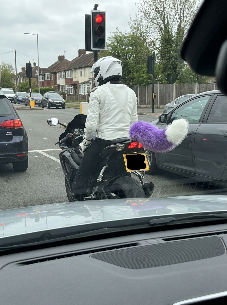 Remote Control Wagging Tail for Motorbikes, Scooters & Cars